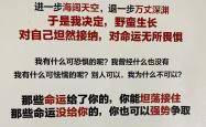 -球队阵容大调整后连胜导演逆袭传奇故事的简单介绍