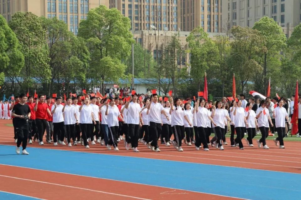 包含欧洲国家队奋勇拼搏，铸就荣耀战绩登上巅峰的词条