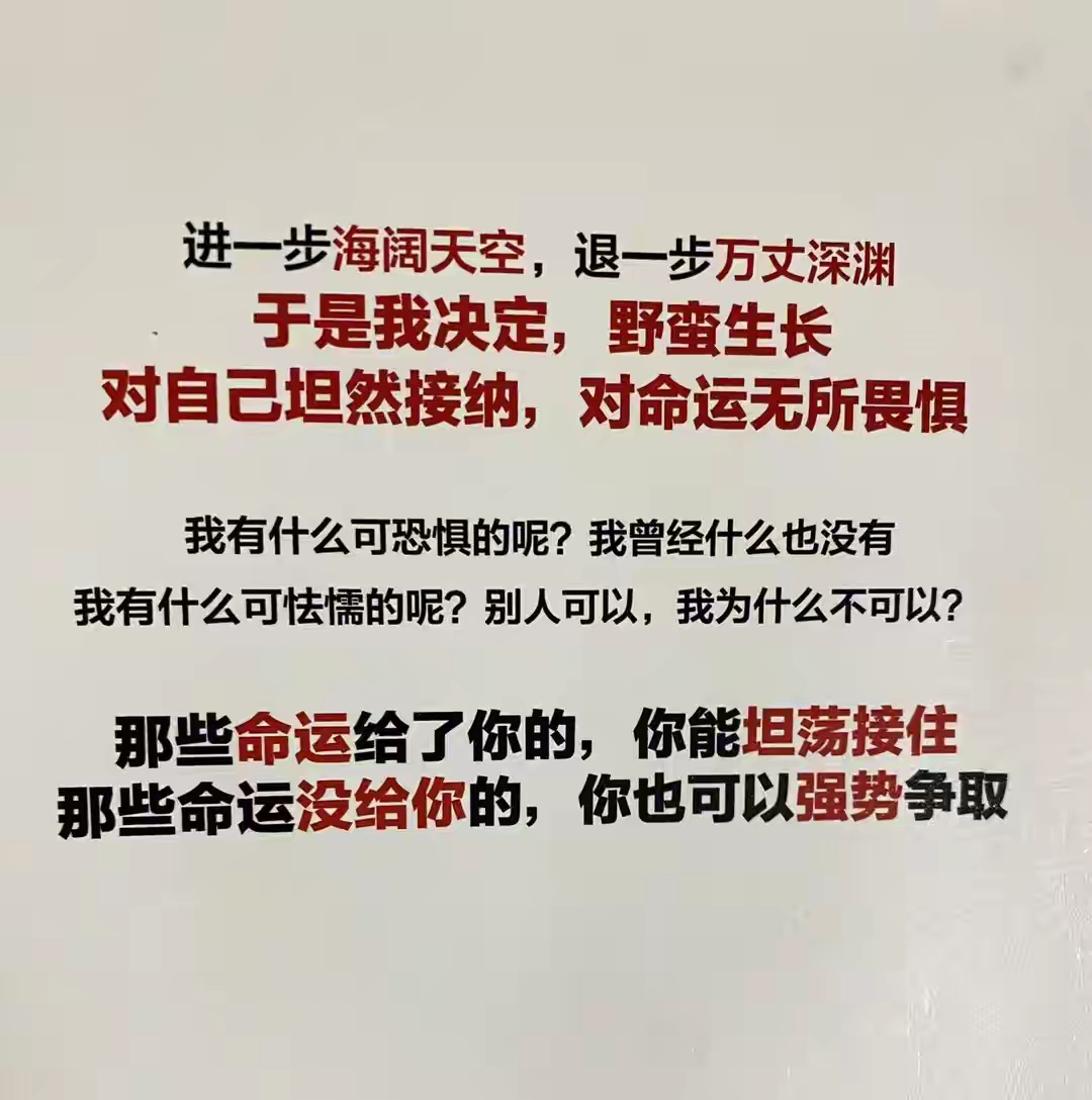 球队阵容大调整后连胜导演逆袭传奇故事的简单介绍